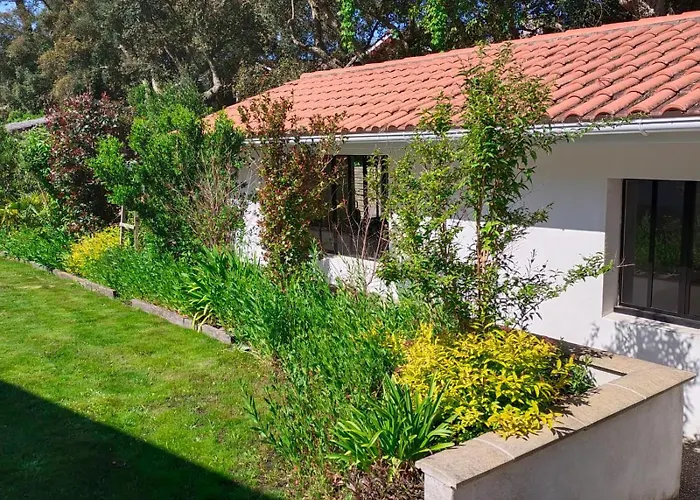 L\'annexe des Cigales, à l\'ombre des chênes lièges