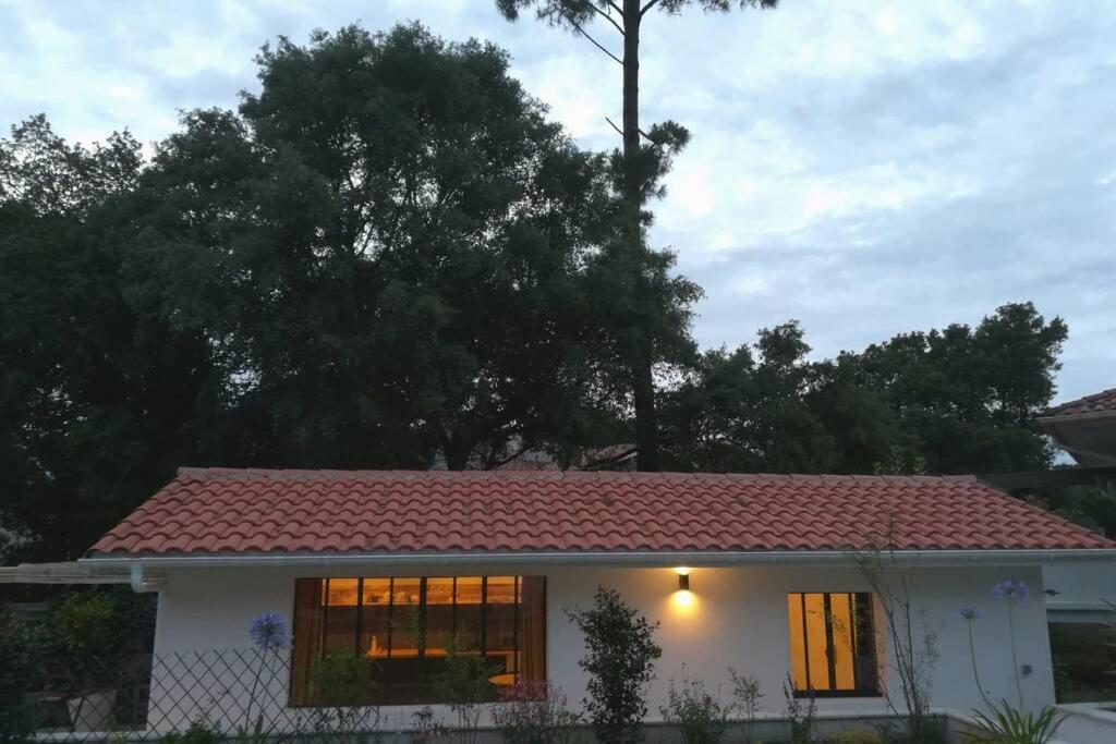 L'annexe Des Cigales, à L'ombre Des Chênes Lièges Hébergement de vacances Capbreton