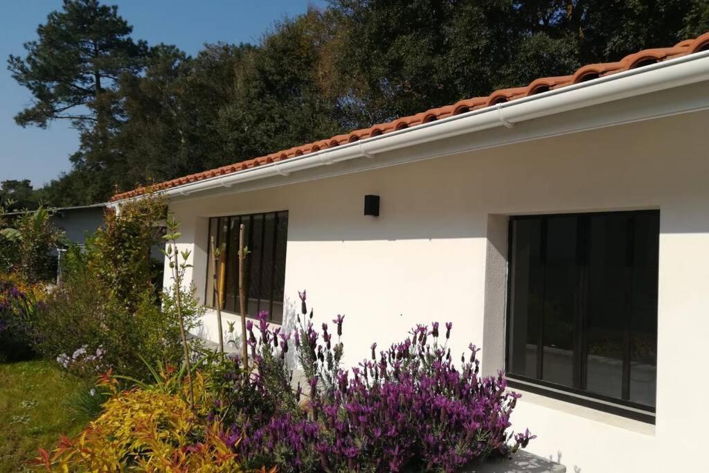 Hébergement de vacances L'annexe Des Cigales, à L'ombre Des Chênes Lièges Capbreton