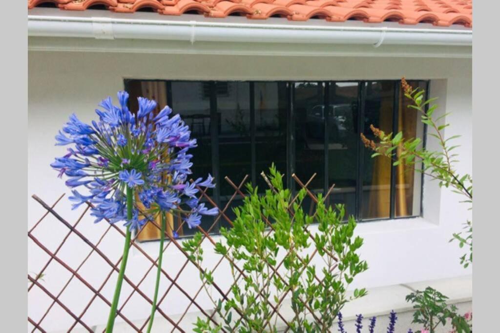 L'annexe Des Cigales, à L'ombre Des Chênes Lièges *